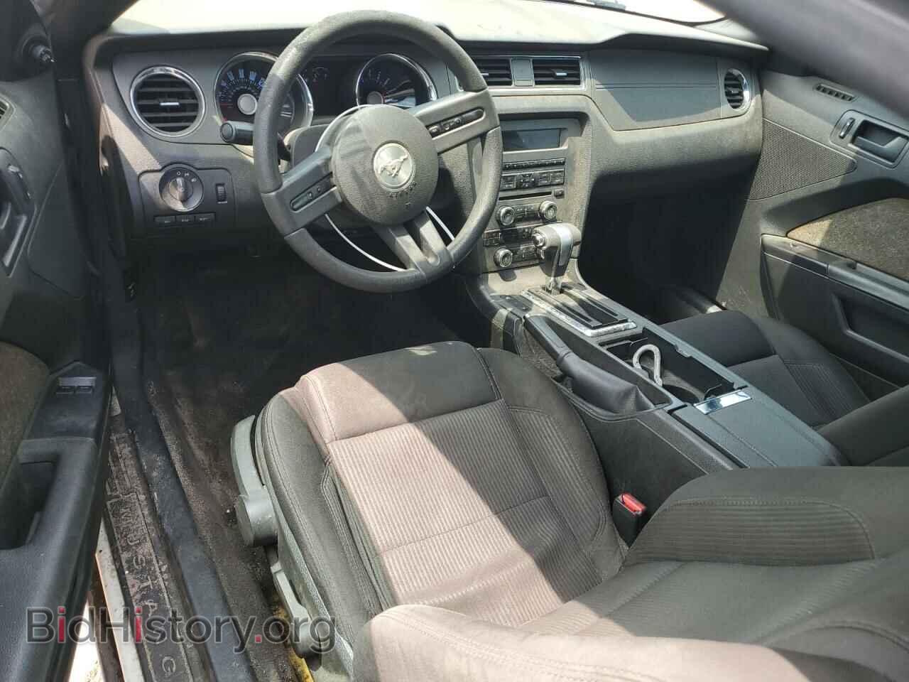 2011 FORD ALL Models - VIN: 1ZVBP8AM6B5158317 - Photo 8