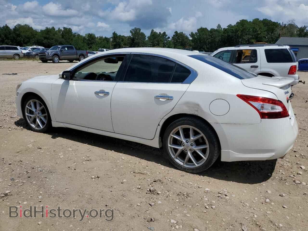2009 NISSAN MAXIMA - VIN: 1N4AA51E89C818151 - Фото 2