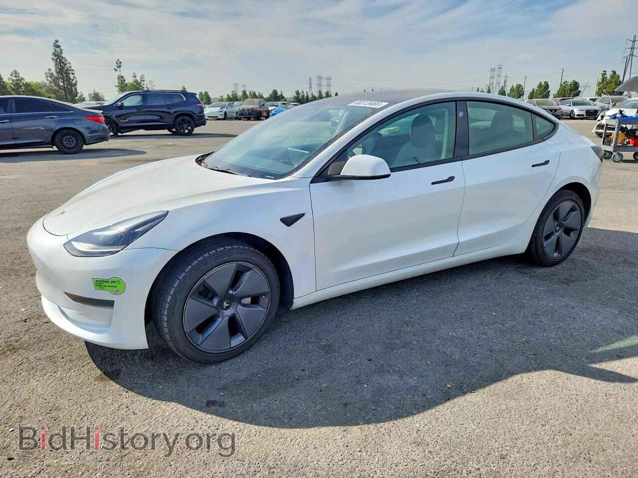 Photo 5YJ3E1EA1PF501206 - TESLA MODEL 3 2023