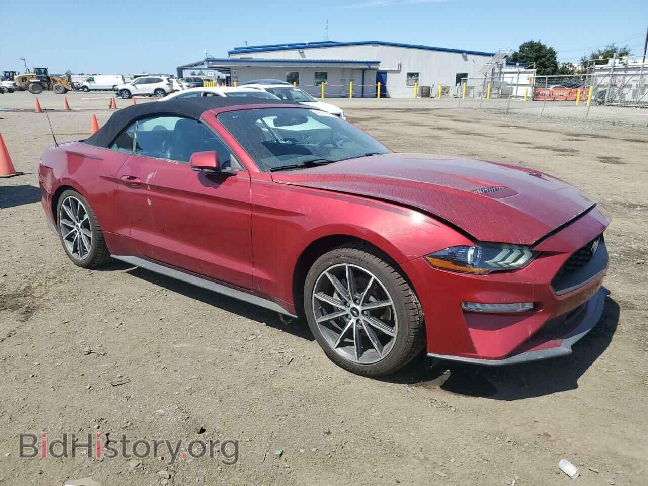 2019 FORD ALL Models - VIN: 1FATP8UH2K5149903 - Фото 4