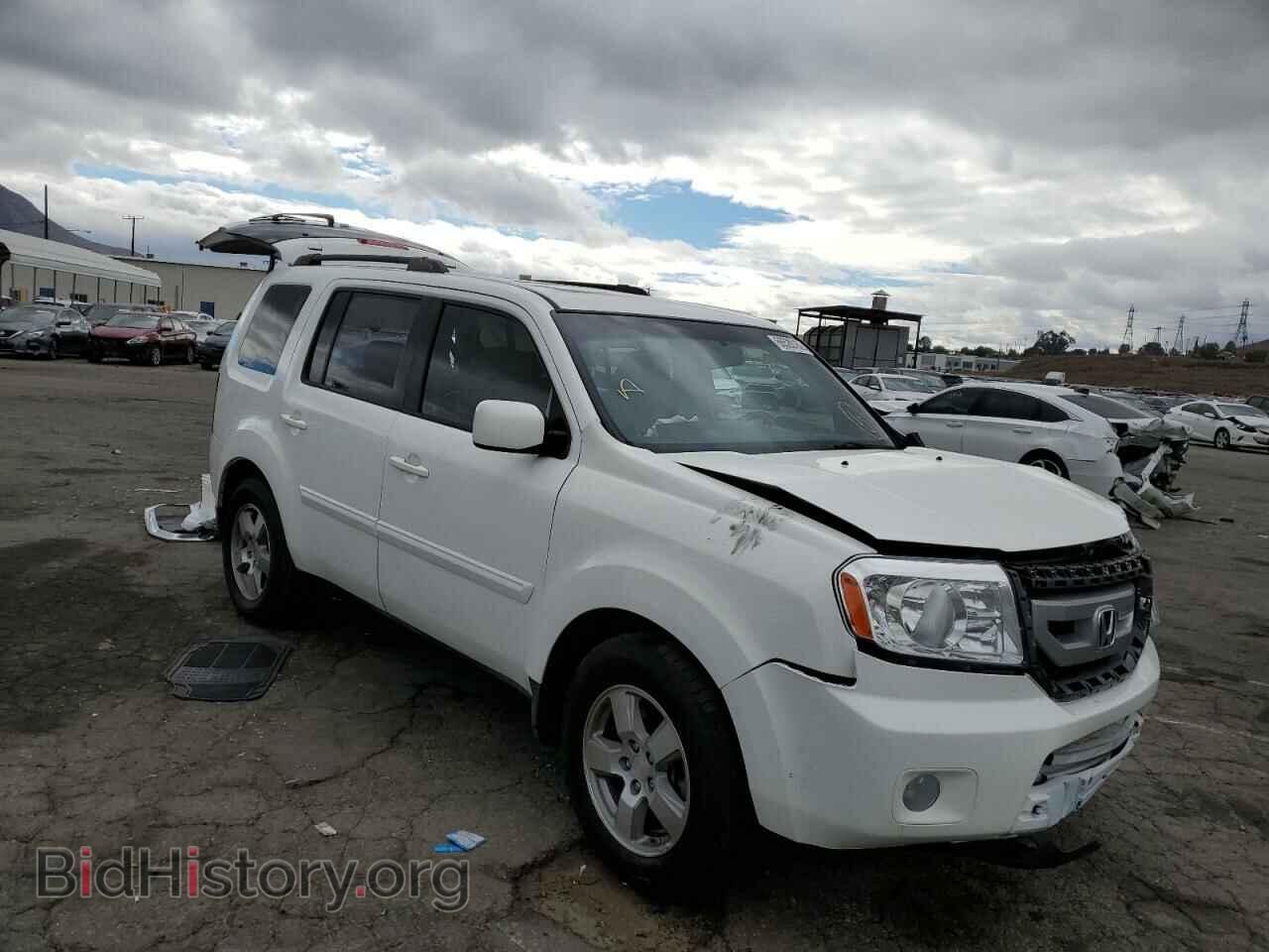 Фотография 5FNYF3H59BB004698 - HONDA PILOT 2011