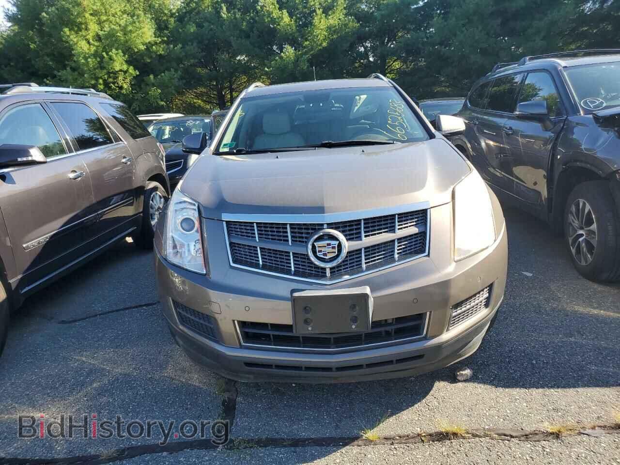 2012 CADILLAC SRX - VIN: 3GYFNDE3XCS547855 - Фото 5