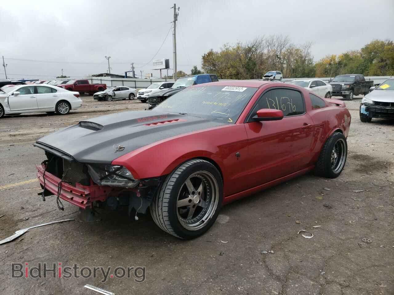 2013 FORD MUSTANG - VIN: 1ZVBP8CF8D5249591 - Фото 2