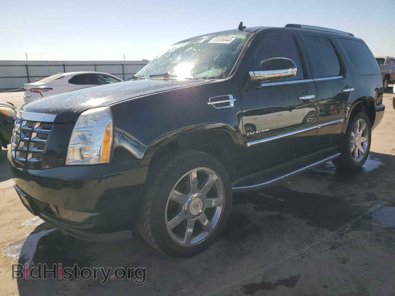 Photo 1GYUCAEF2AR256336 - CADILLAC ESCALADE 2010