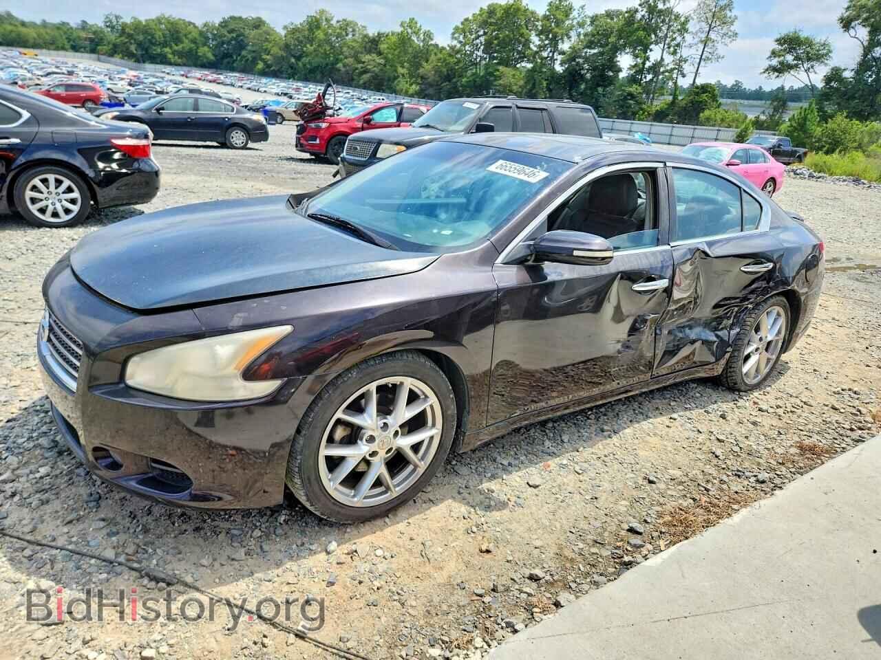 Photo 1N4AA5AP5AC802124 - NISSAN MAXIMA 2010