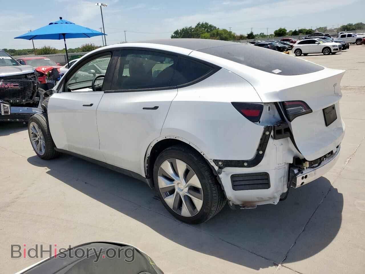 2024 TESLA MODEL Y - VIN: 7SAYGDED1RF085594 - Фото 2