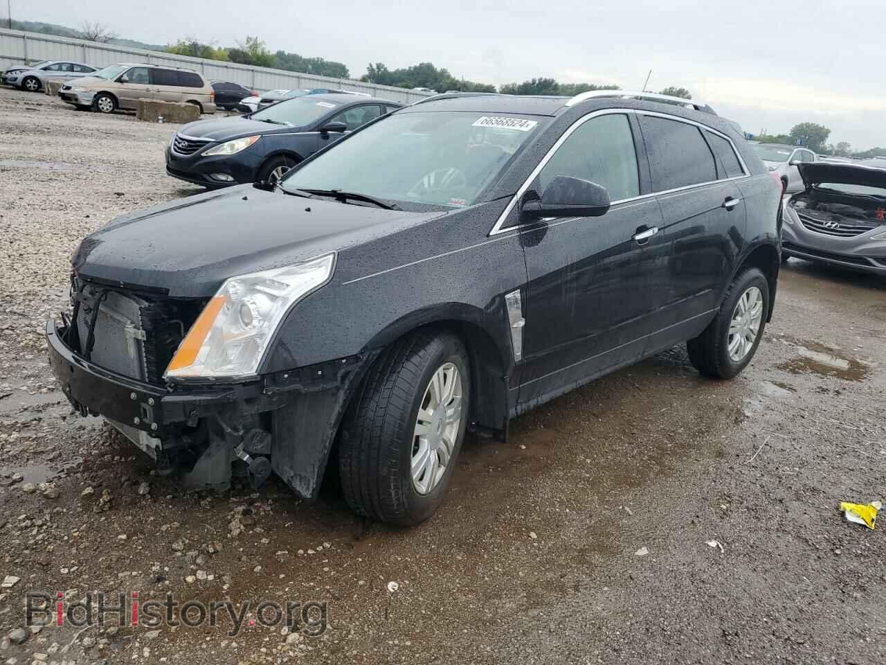 Фотография 3GYFNDE37CS503537 - CADILLAC SRX 2012