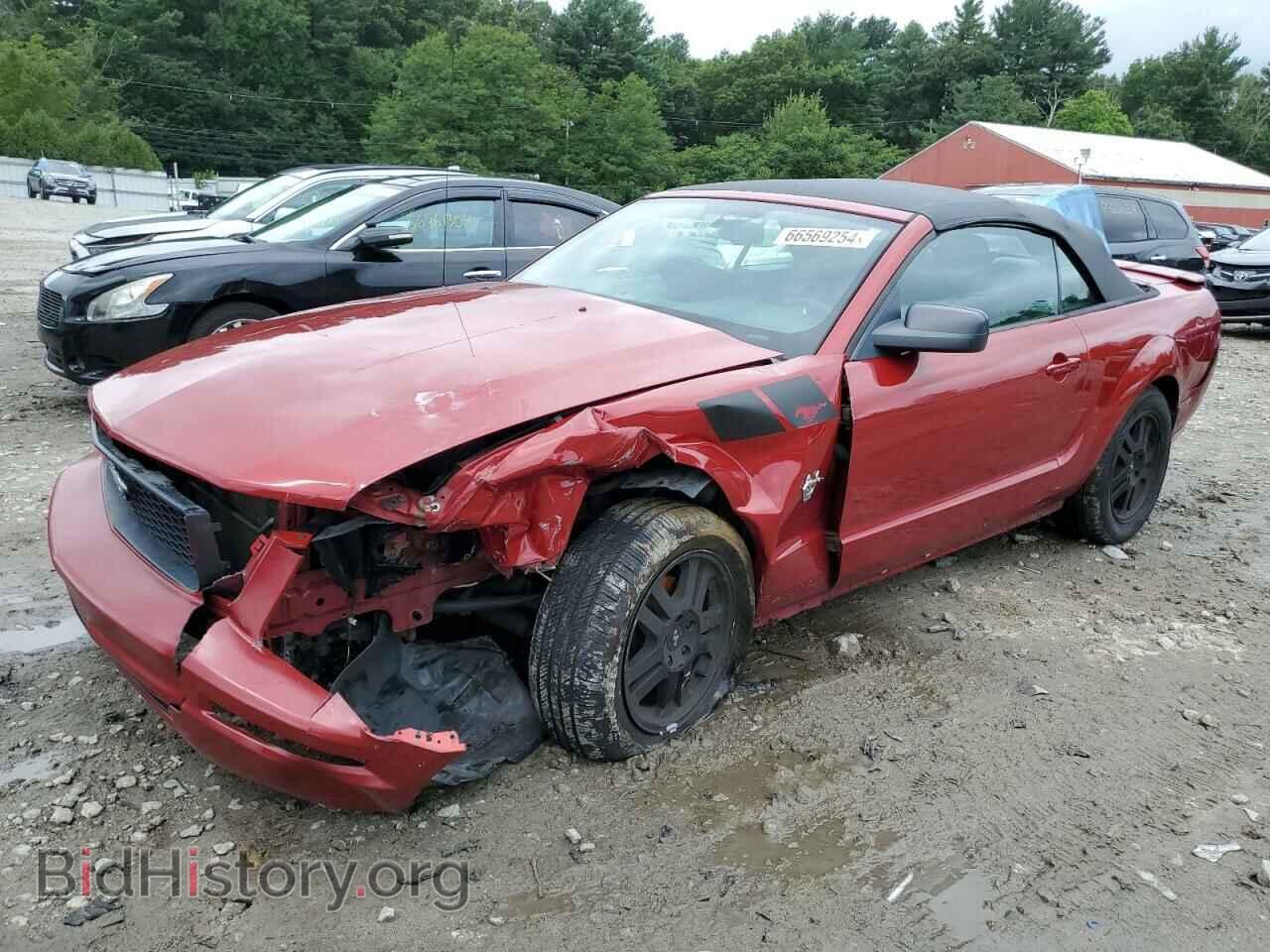 Photo 1ZVHT84N695125662 - FORD ALL Models 2009