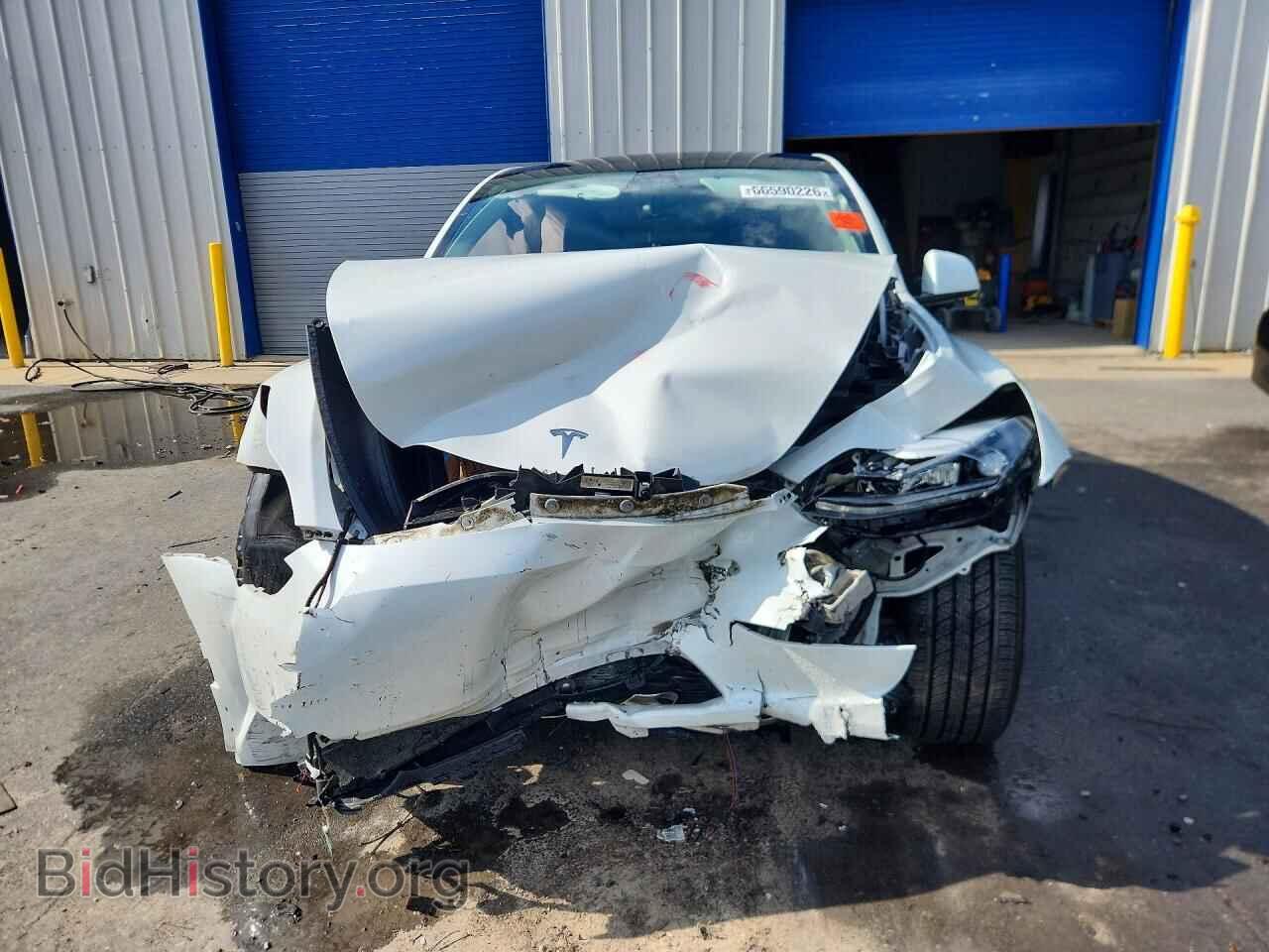 2024 TESLA MODEL Y - VIN: 7SAYGDEE7RF031659 - Photo 5