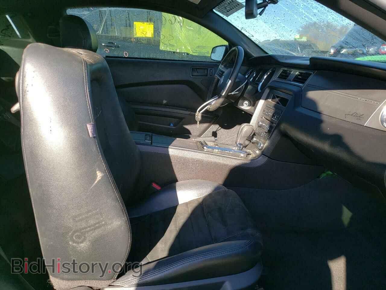 2013 FORD MUSTANG - VIN: 1ZVBP8CF3D5234559 - Фото 5