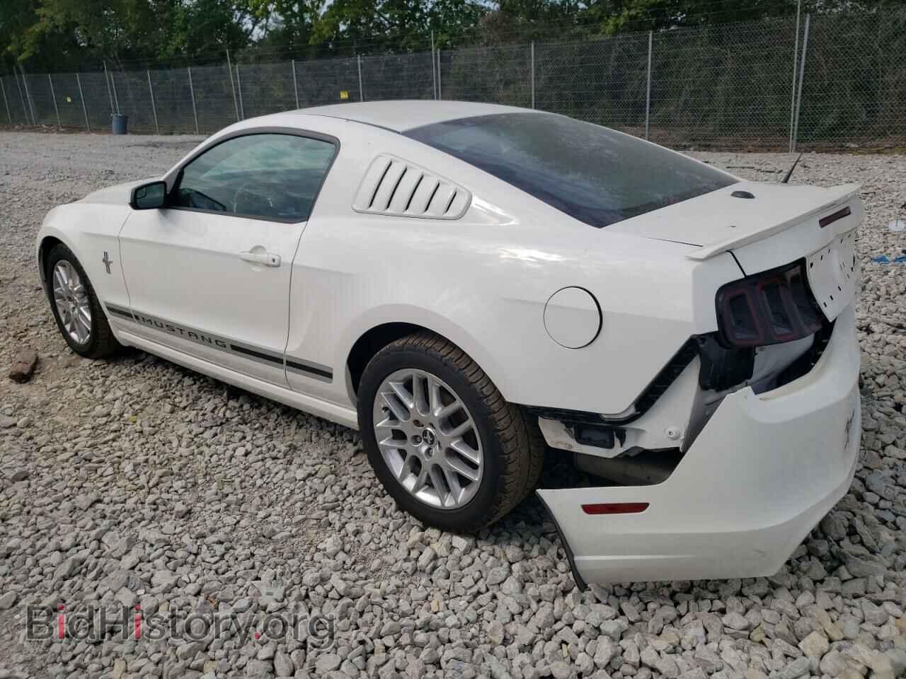 2013 FORD ALL Models - VIN: 1ZVBP8AM2D5220783 - Фото 2