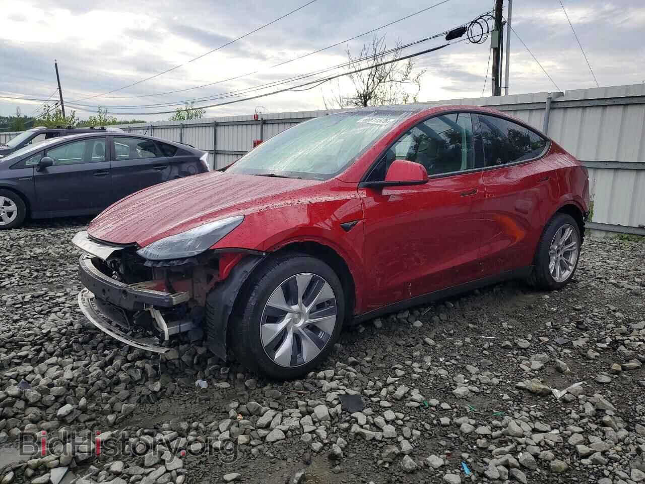 Фотография 7SAYGDEE2RF083569 - TESLA MODEL Y 2024