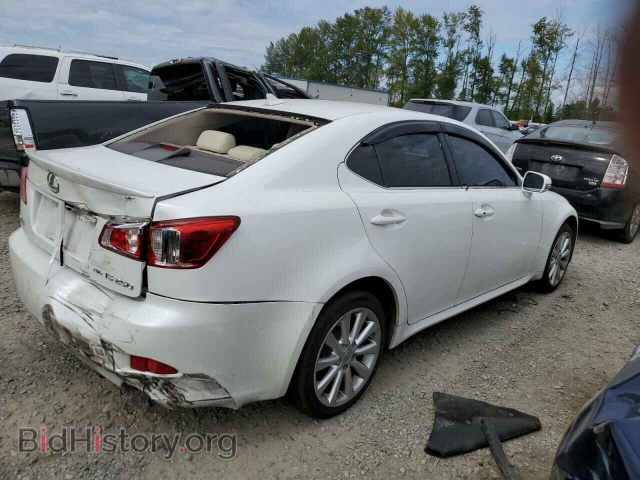 2009 LEXUS IS - VIN: JTHCK262095031145 - Фото 3