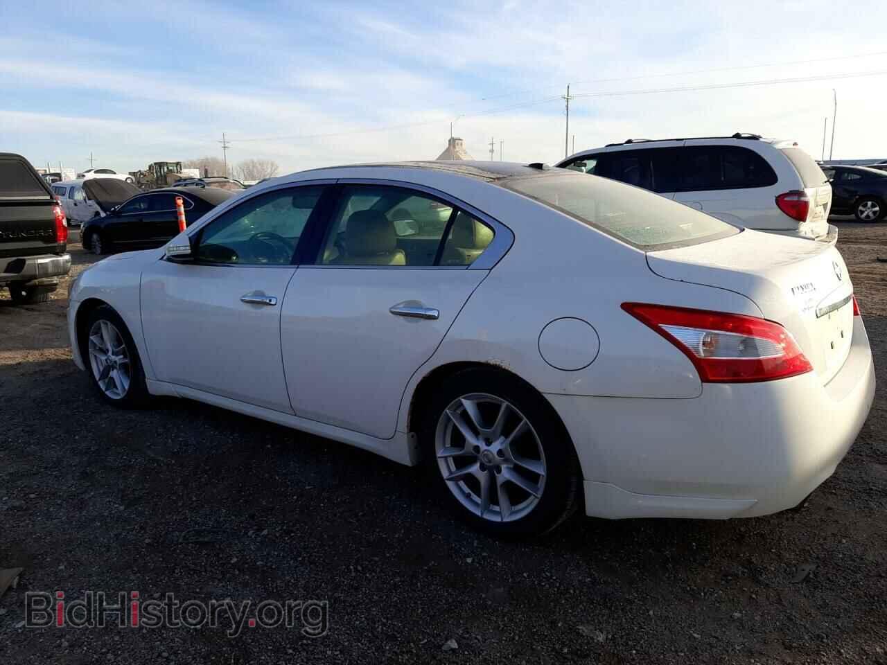 2009 NISSAN MAXIMA - VIN: 1N4AA51E29C861058 - Фото 2