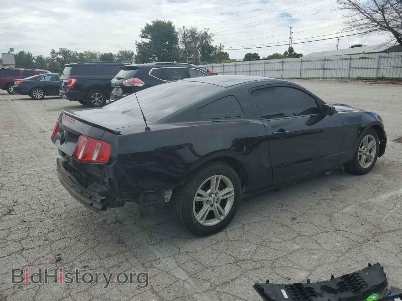 2012 FORD ALL Models - VIN: 1ZVBP8AM7C5213813 - Фото 3