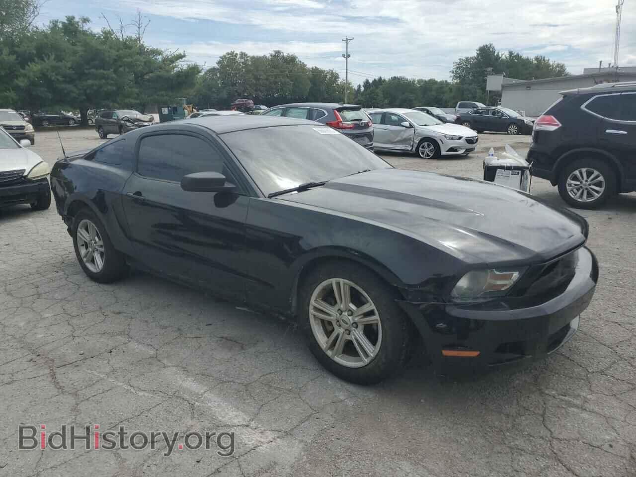 2012 FORD ALL Models - VIN: 1ZVBP8AM7C5213813 - Фото 4