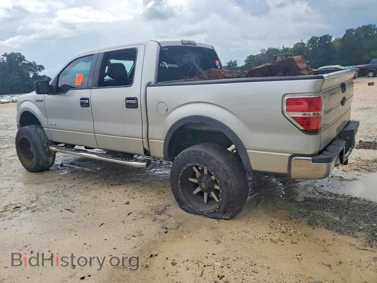 2011 FORD F150 - VIN: 1FTFW1CT2BFB81512 - Фото 2