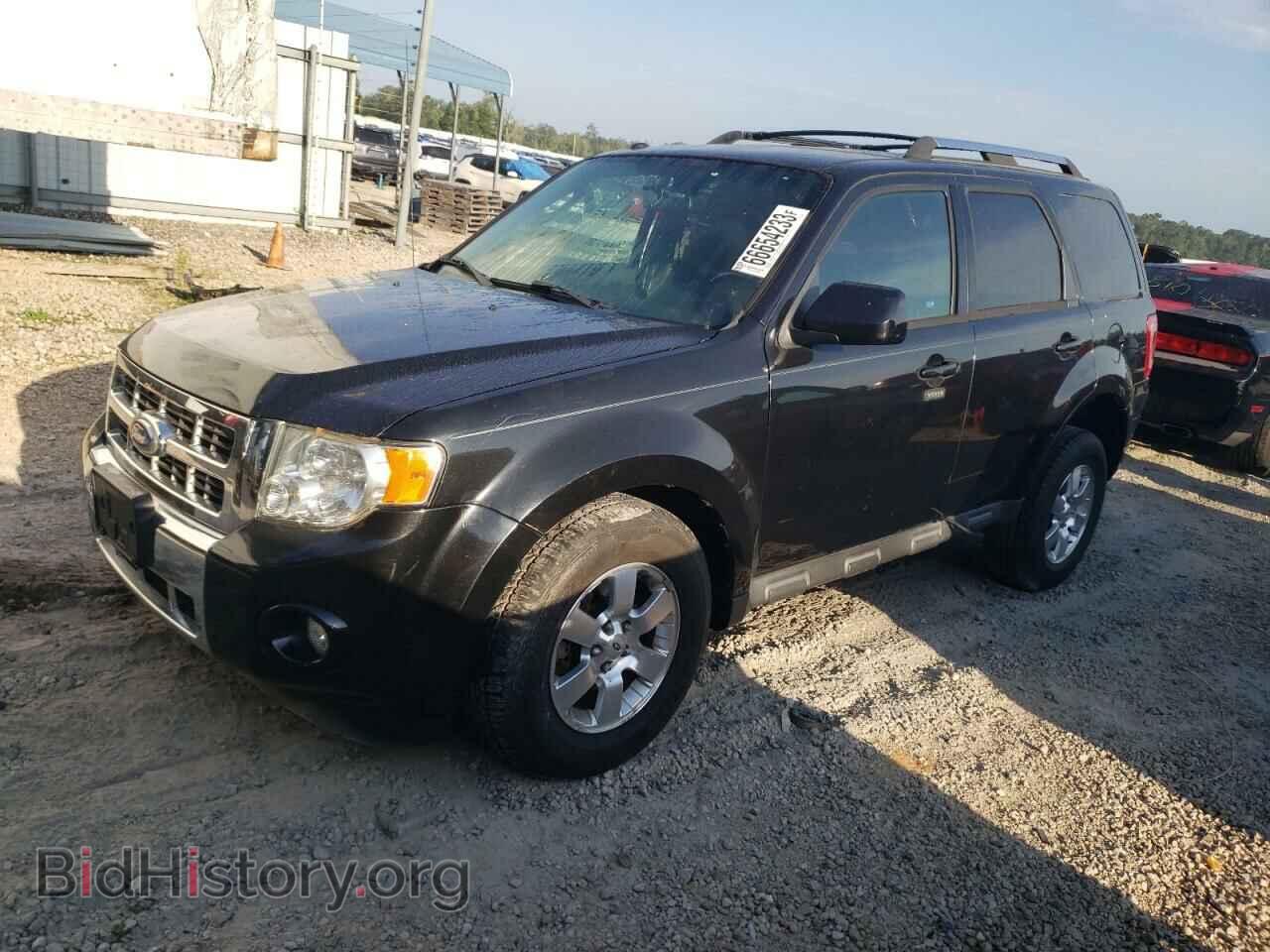 Фотография 1FMCU0E71BKC25053 - FORD ESCAPE 2011