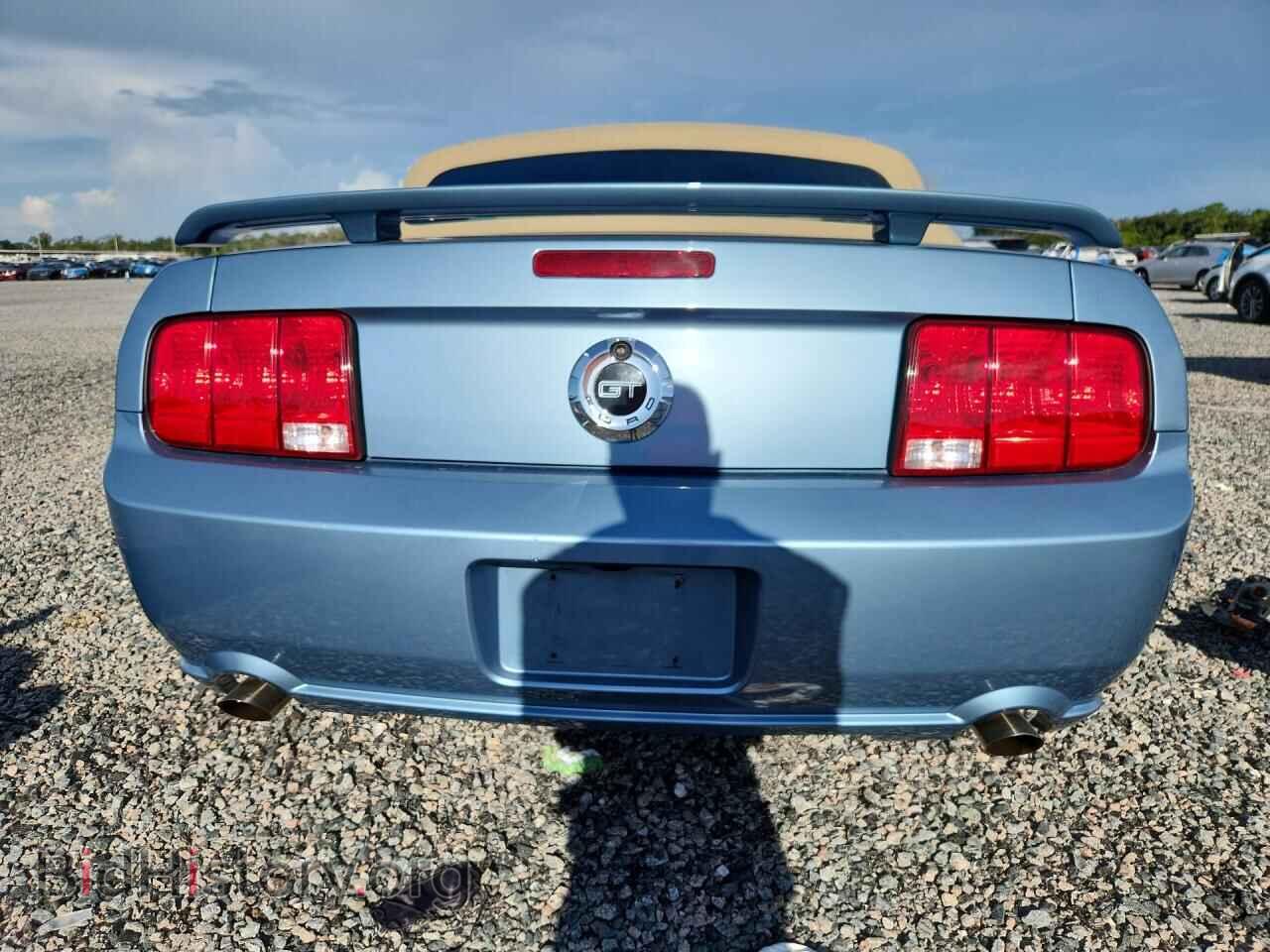 2005 FORD MUSTANG - VIN: 1ZVHT85H955193490 - Фото 6