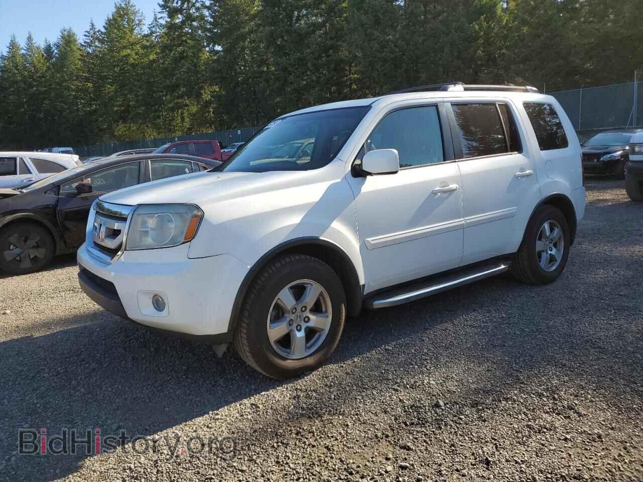 Photo 5FNYF48659B018736 - HONDA PILOT 2009