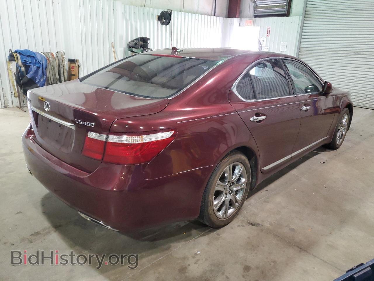 2009 LEXUS LS460 - VIN: JTHBL46F195089109 - Photo 4