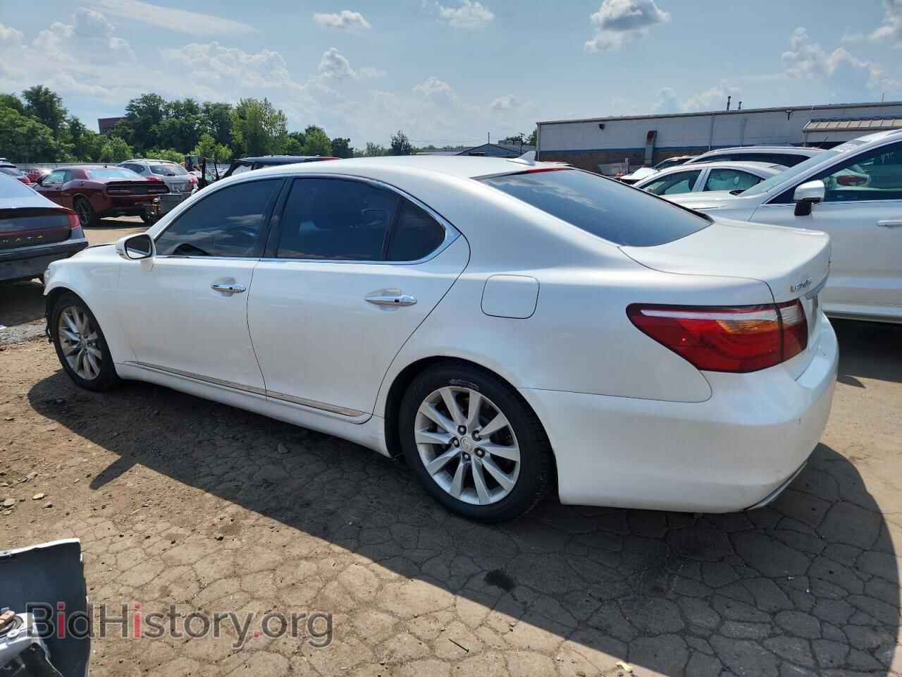 2010 LEXUS LS460 - VIN: JTHCL5EF0A5008858 - Фото 2