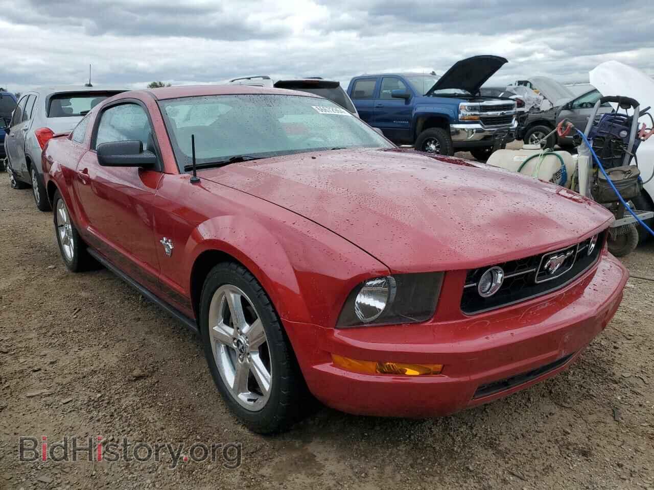 2009 FORD ALL Models - VIN: 1ZVHT80N395125821 - Фото 4