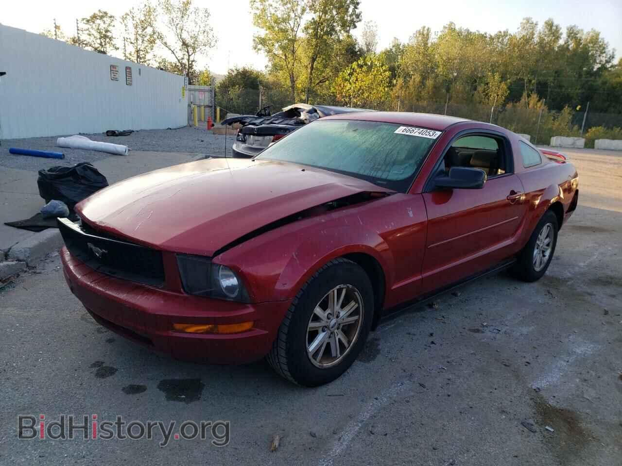 Фотография 1ZVFT80N475269656 - FORD ALL Models 2007
