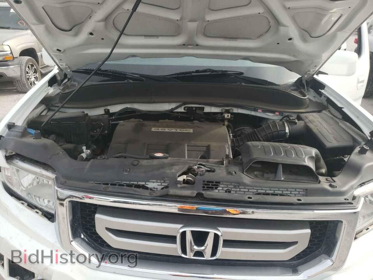 2009 HONDA RIDGELINE - VIN: 5FPYK16409B101686 - Фото 7