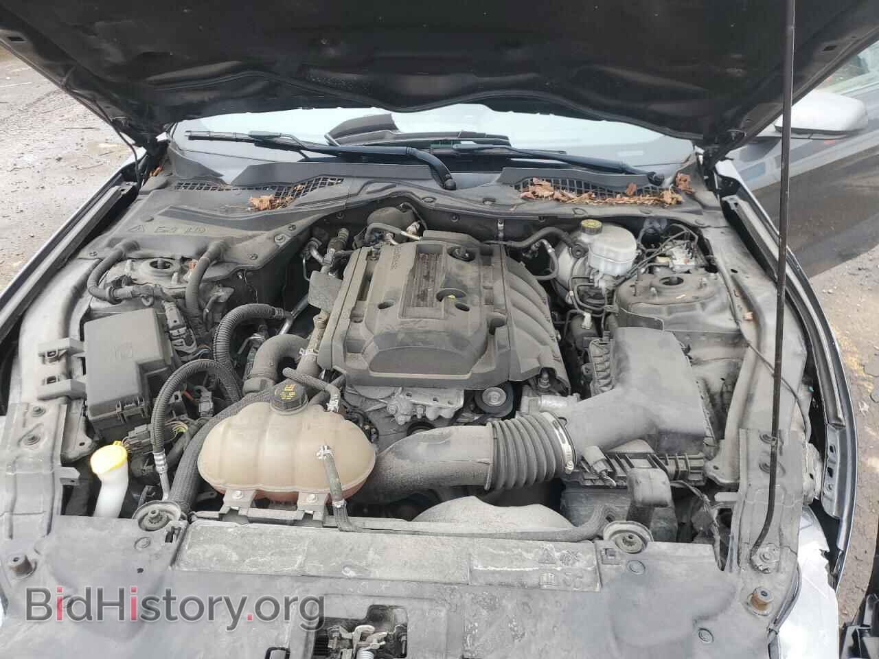 2019 FORD ALL Models - VIN: 1FA6P8TH9K5142767 - Фото 11