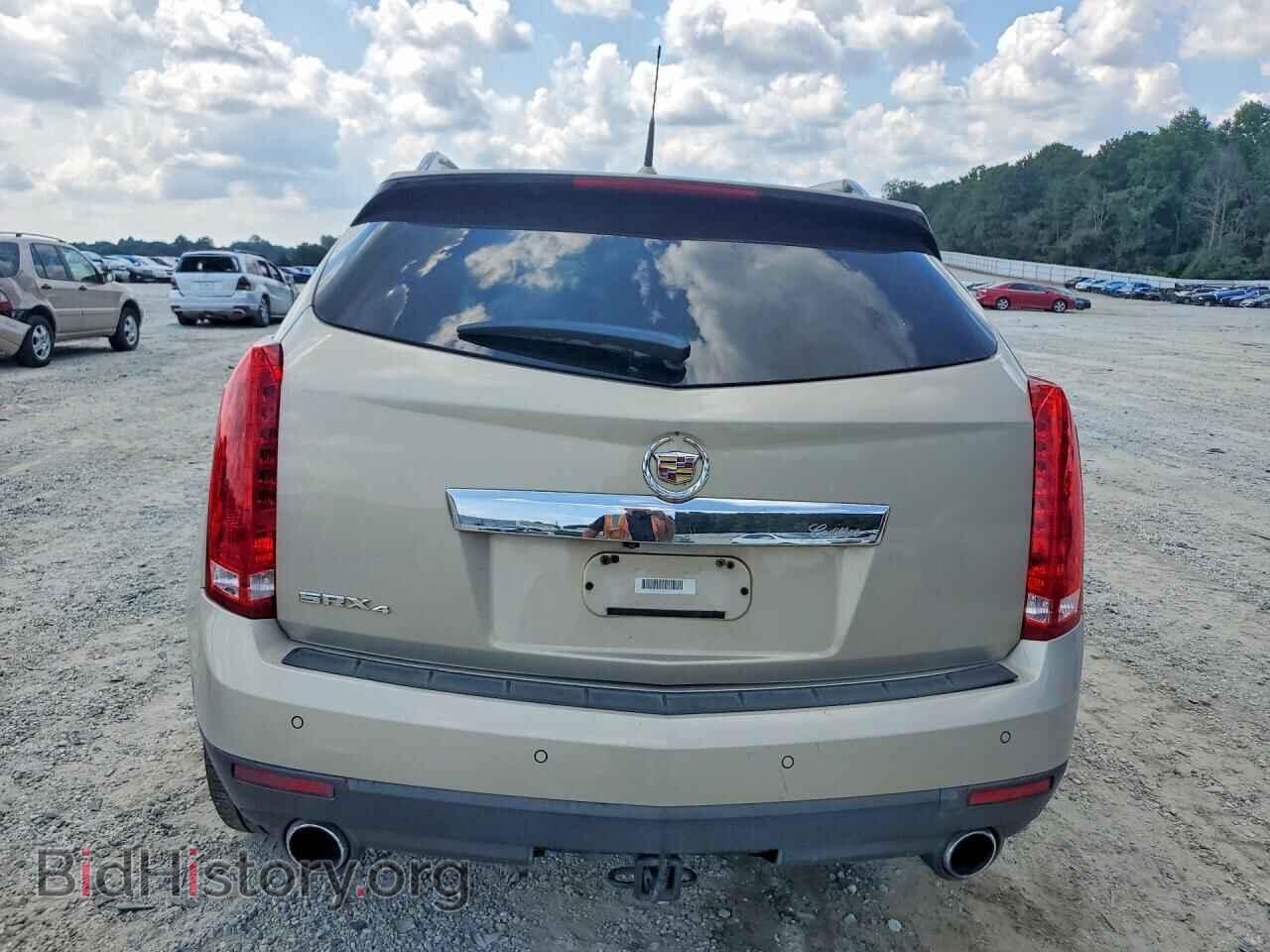 2010 CADILLAC SRX - VIN: 3GYFNEEY9AS500301 - Фото 6