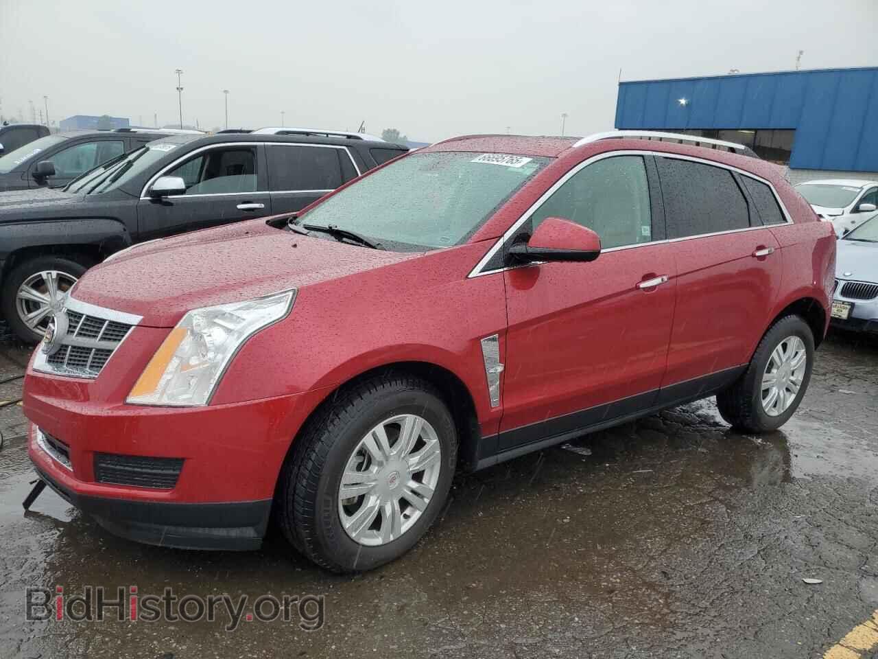 Фотография 3GYFNAEY1BS645035 - CADILLAC SRX 2011