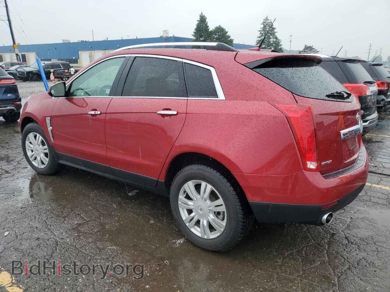 2011 CADILLAC SRX - VIN: 3GYFNAEY1BS645035 - Фото 2