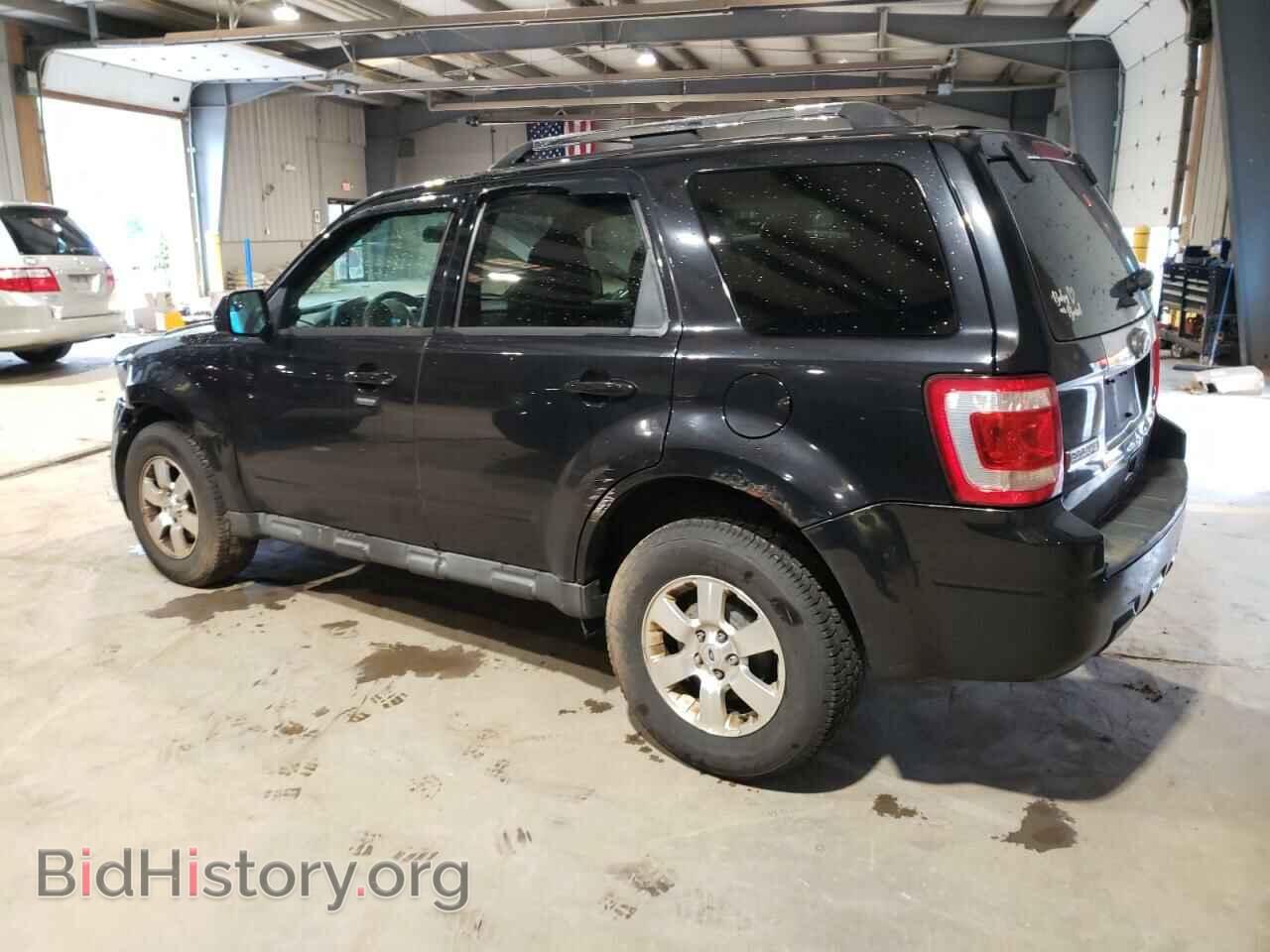 2011 FORD ESCAPE - VIN: 1FMCU9EG7BKC64556 - Фото 2