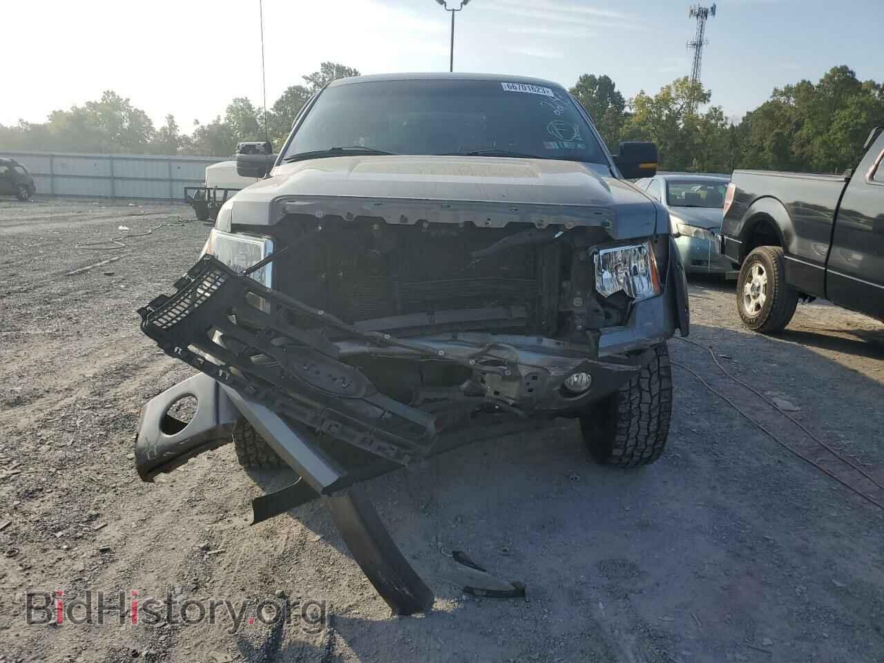 2012 FORD F-150 - VIN: 1FTFX1EF6CFA52243 - Фото 5