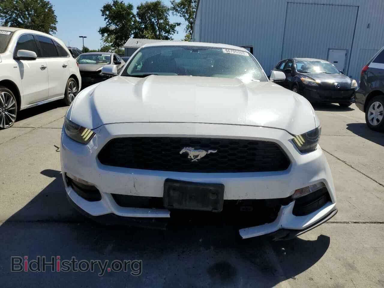 2017 FORD ALL Models - VIN: 1FA6P8AM5H5353988 - Фото 5