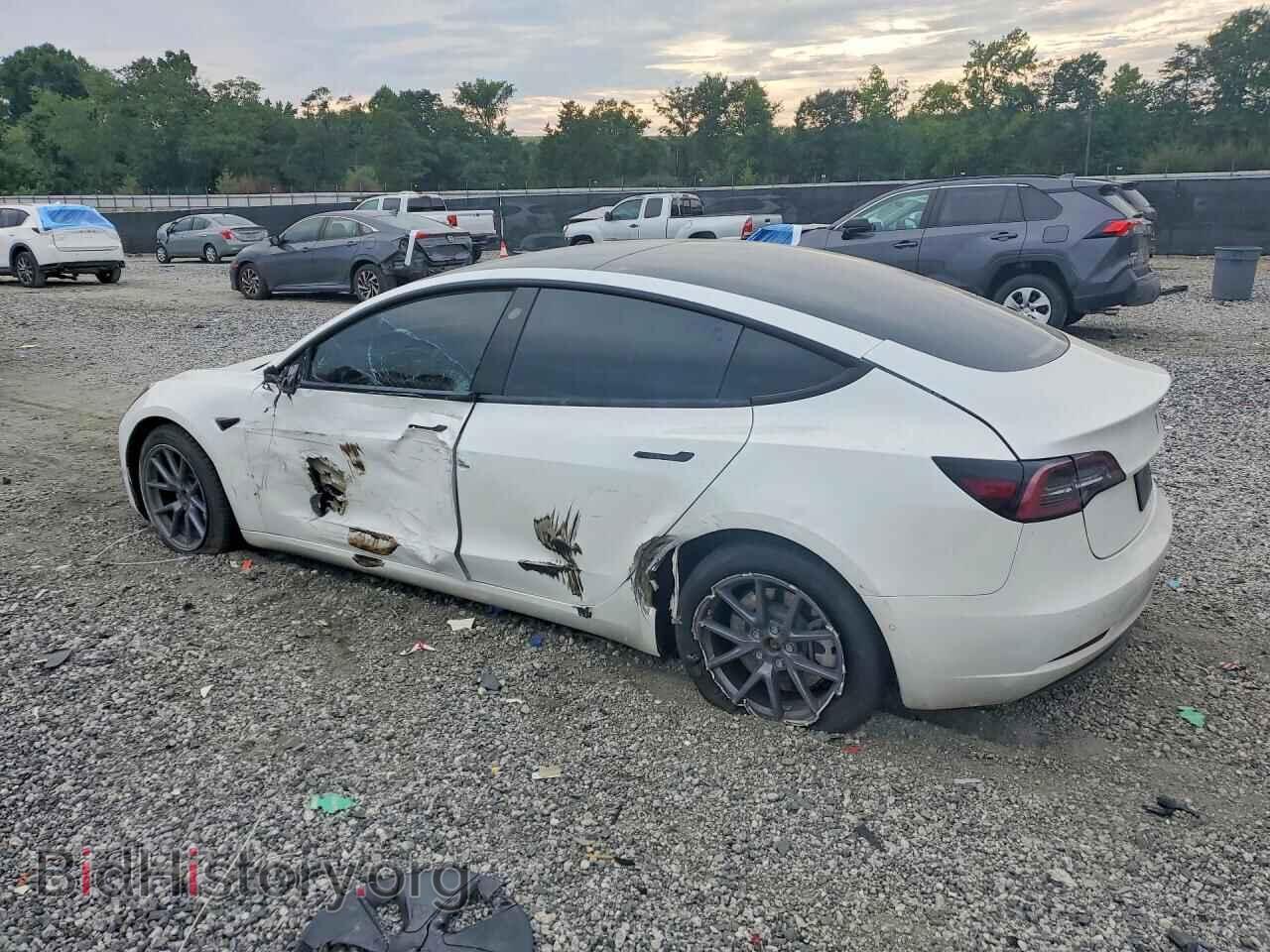 2021 TESLA MODEL 3 - VIN: 5YJ3E1EB9MF035559 - Фото 2