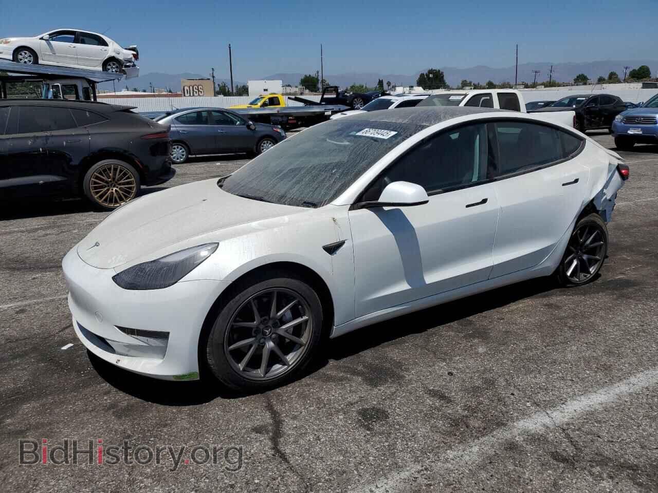 Photo 5YJ3E1EA2PF506446 - TESLA MODEL 3 2023