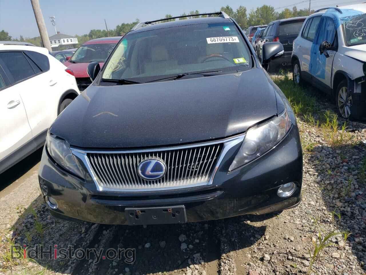 2011 LEXUS RX450 - VIN: JTJBC1BA1B2032844 - Фото 5