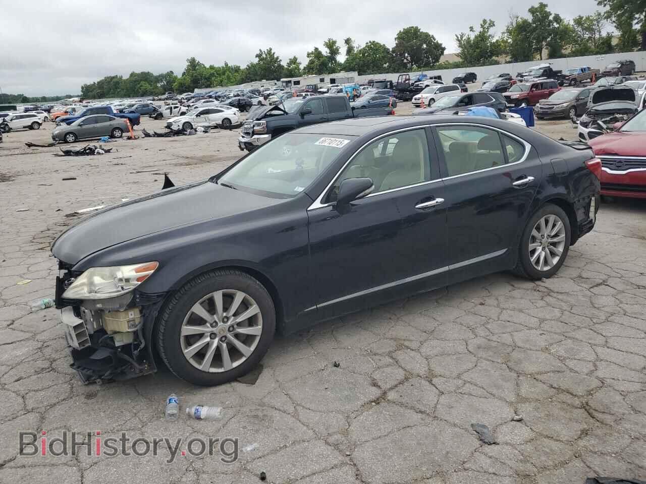 Фотография JTHCL5EF1C5012730 - LEXUS LS460 2012