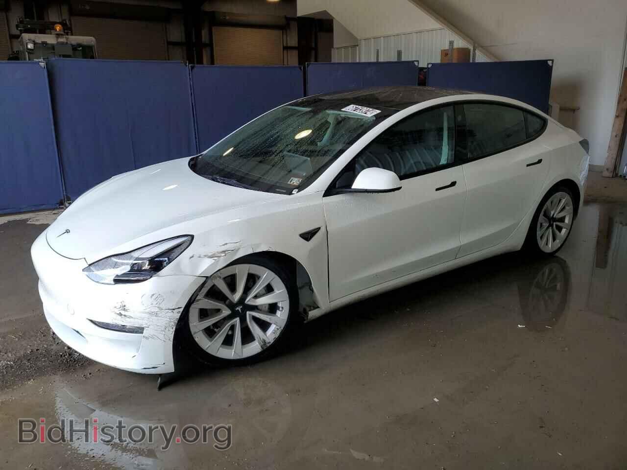 Photo 5YJ3E1EA4PF447917 - TESLA MODEL 3 2023