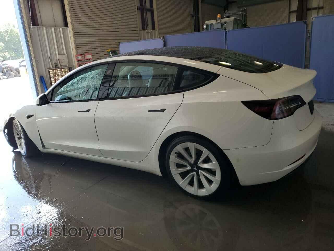 2023 TESLA MODEL 3 - VIN: 5YJ3E1EA4PF447917 - Photo 2