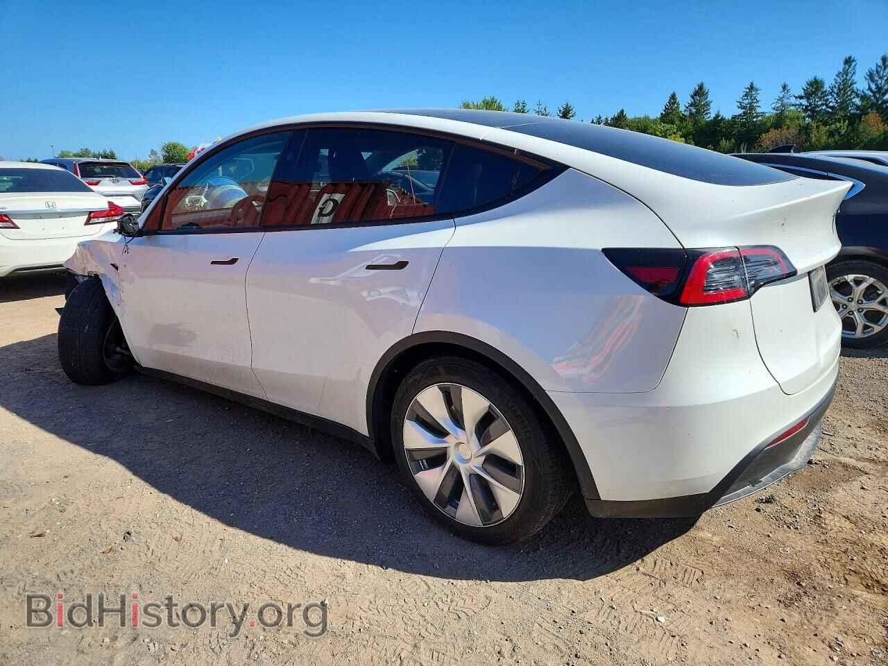 2024 TESLA MODEL Y - VIN: 7SAYGDEE8RF046185 - Фото 2