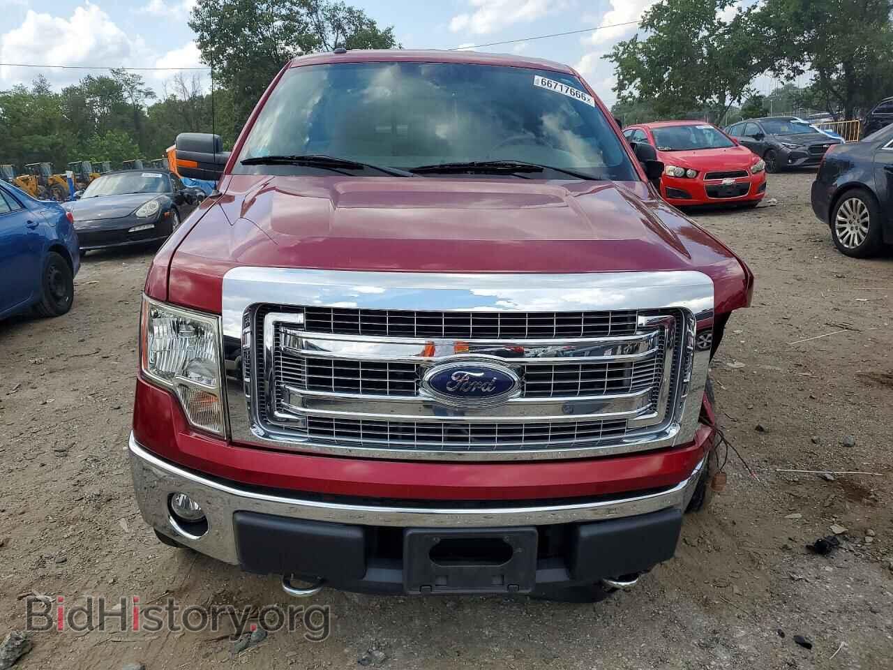 2013 FORD F150 - VIN: 1FTFX1EF0DFD95731 - Фото 5