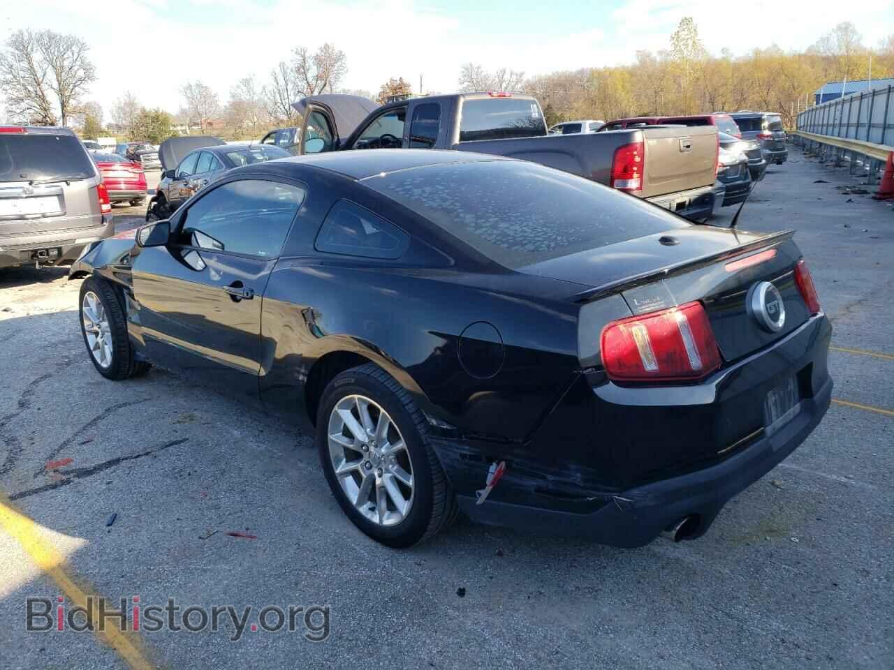 2011 FORD MUSTANG - VIN: 1ZVBP8CF7B5147471 - Фото 3