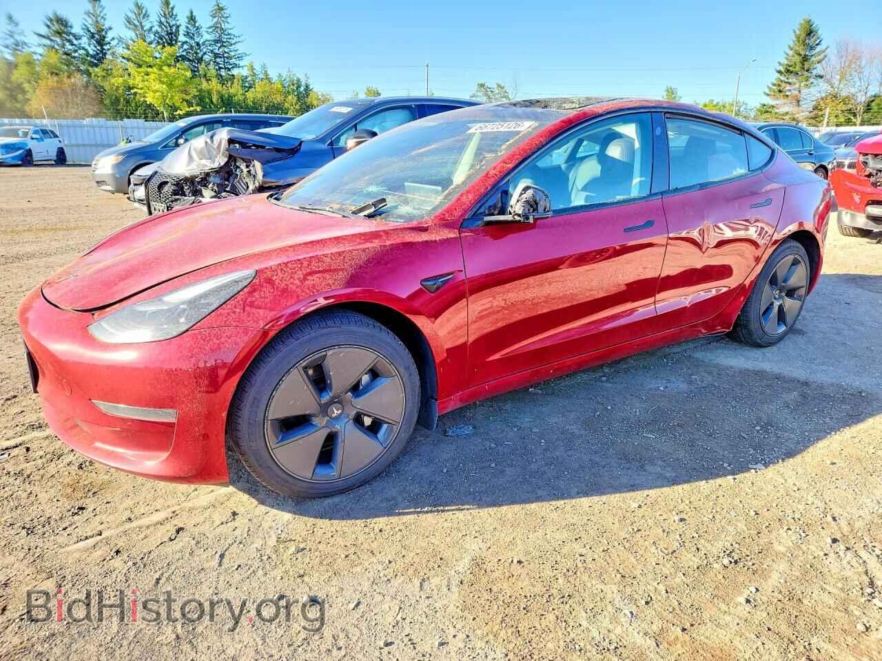 Photo 5YJ3E1EA1PF427706 - TESLA MODEL 3 2023