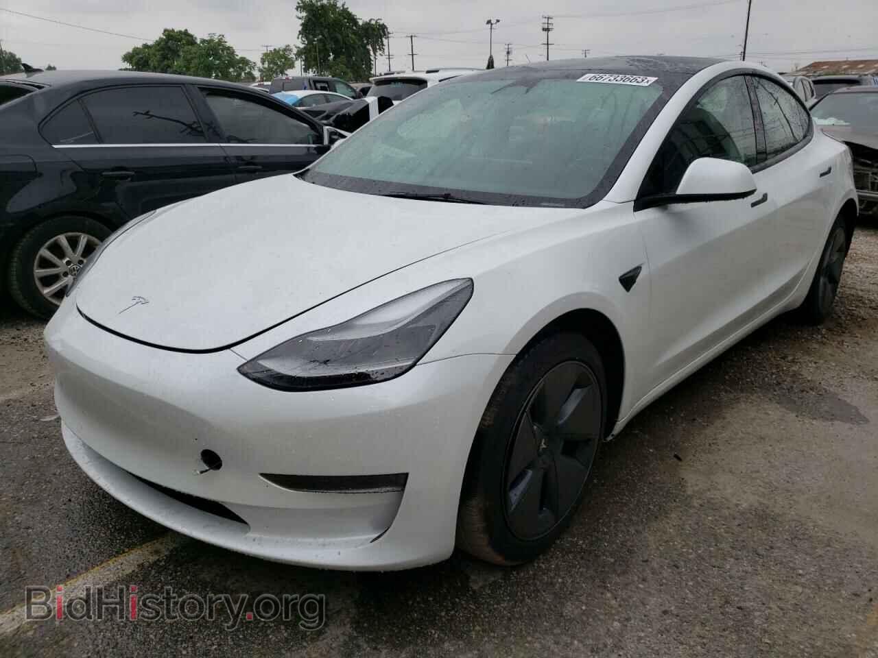 Фотография 5YJ3E1EA2PF407769 - TESLA MODEL 3 2023