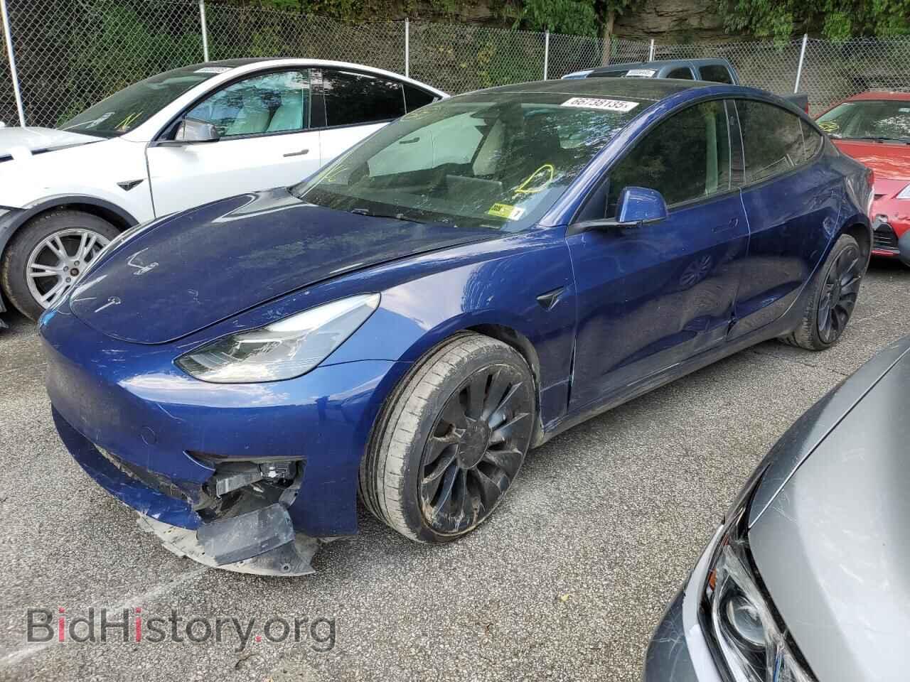 Фотография 5YJ3E1EC7PF596064 - TESLA MODEL 3 2023