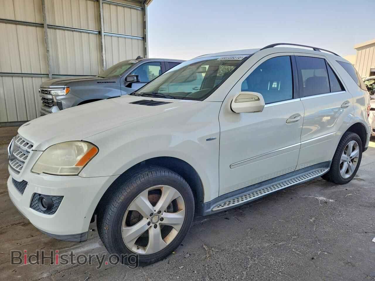 Photo 4JGBB2FB8AA620691 - MERCEDES-BENZ M-CLASS 2010