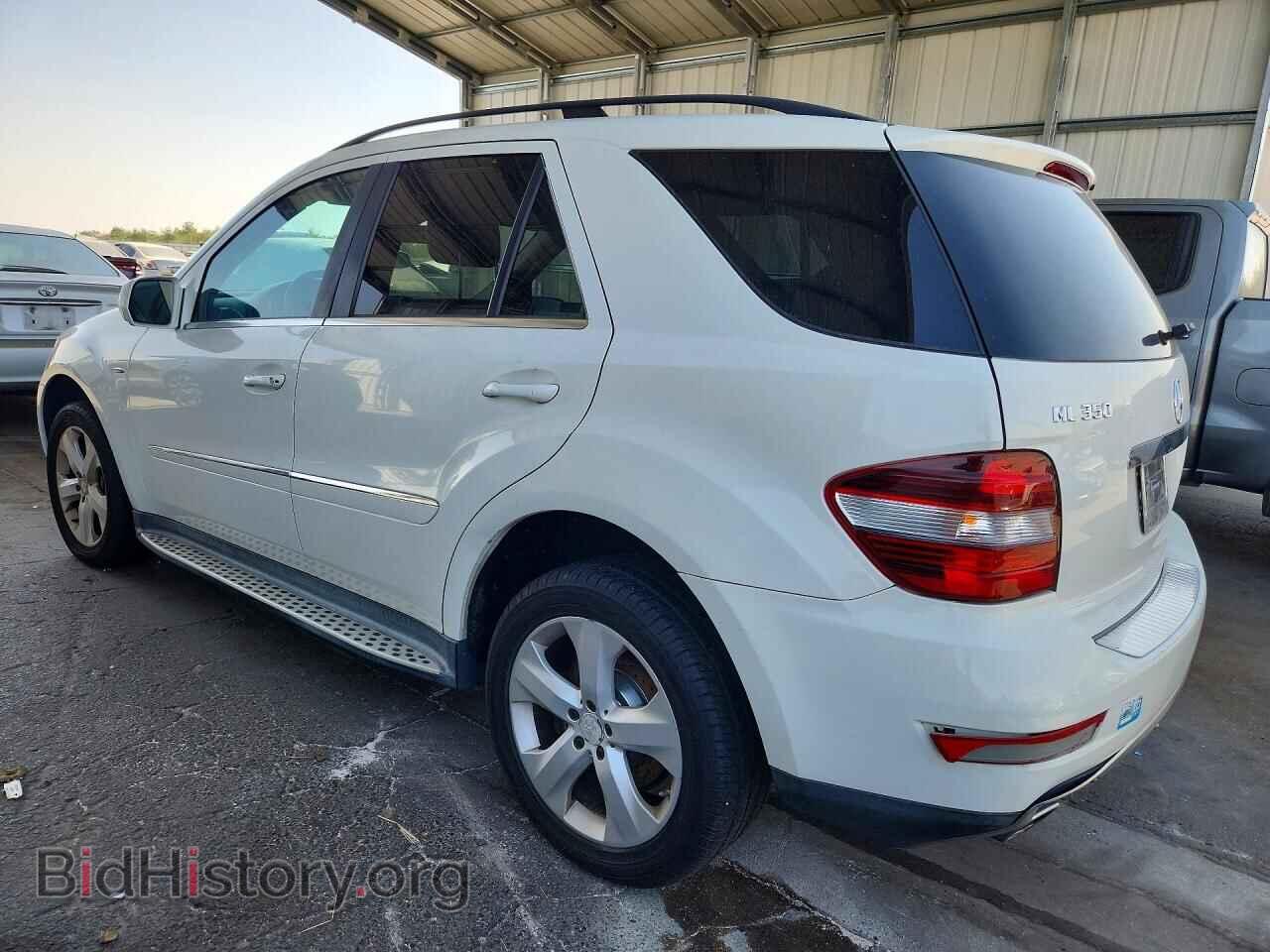 2010 MERCEDES-BENZ M-CLASS - VIN: 4JGBB2FB8AA620691 - Фото 2